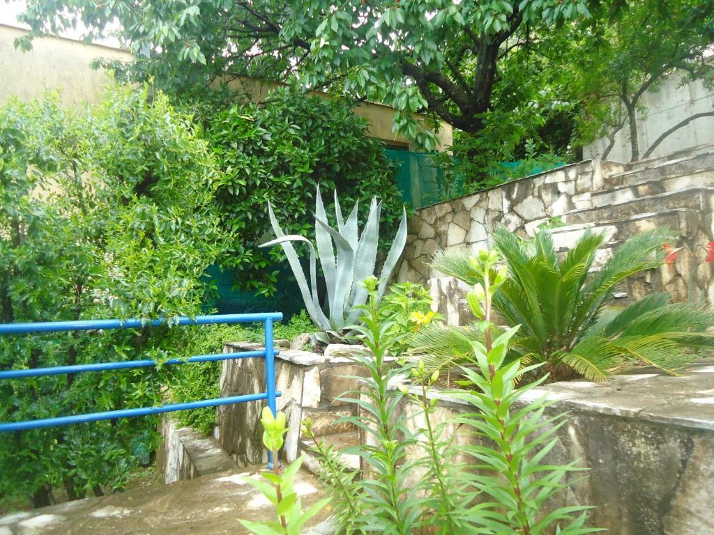 Apartments Villa Petranovic Budva Pokój zdjęcie