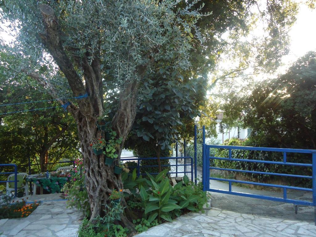 Apartments Villa Petranovic Budva Zewnętrze zdjęcie