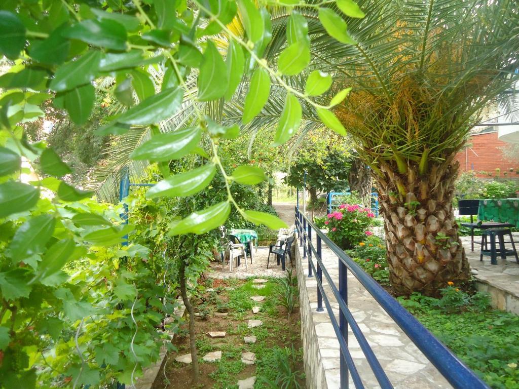 Apartments Villa Petranovic Budva Pokój zdjęcie