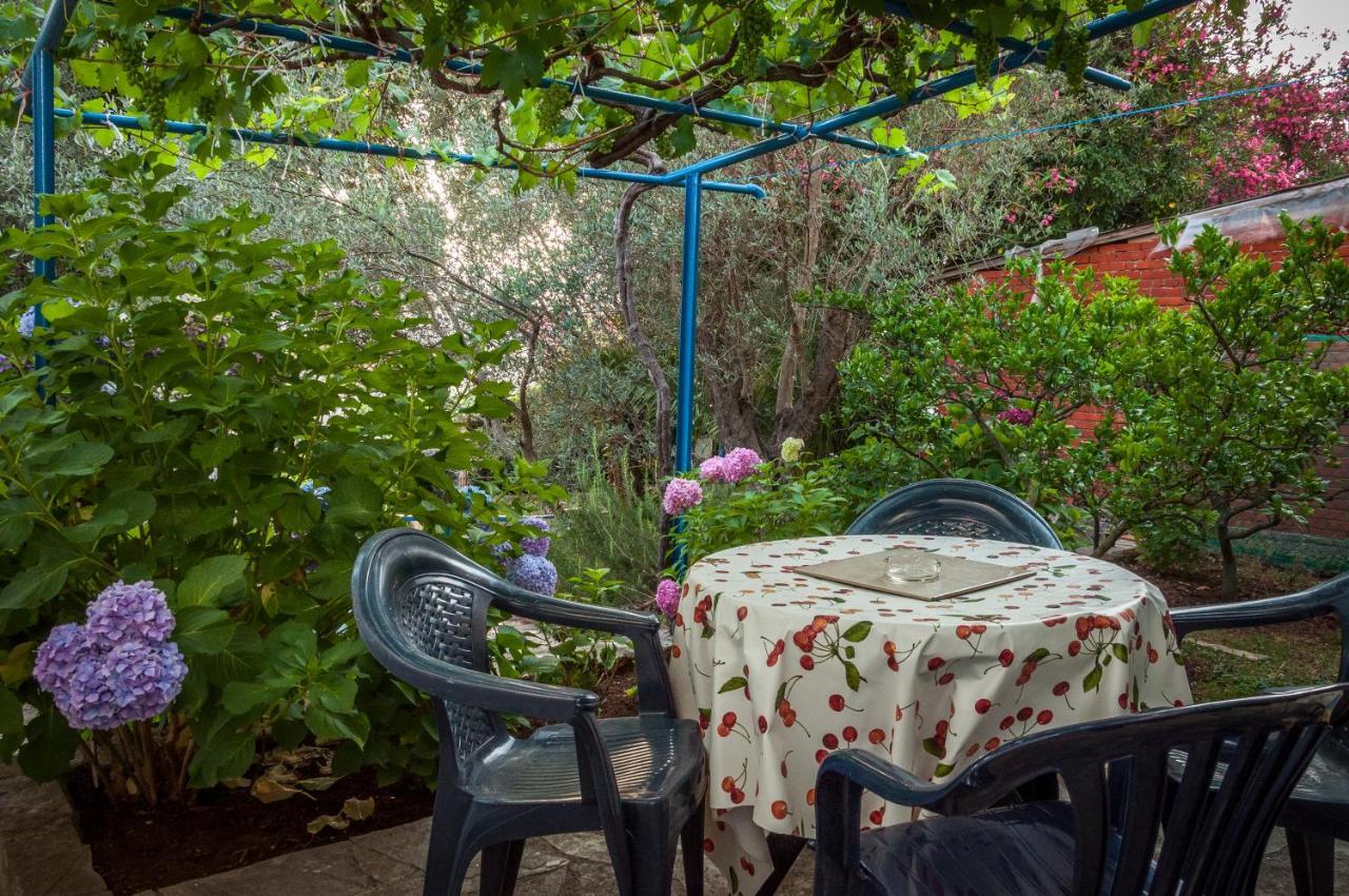 Apartments Villa Petranovic Budva Zewnętrze zdjęcie